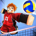 Volleyball Legends